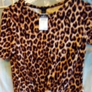 Ladies top